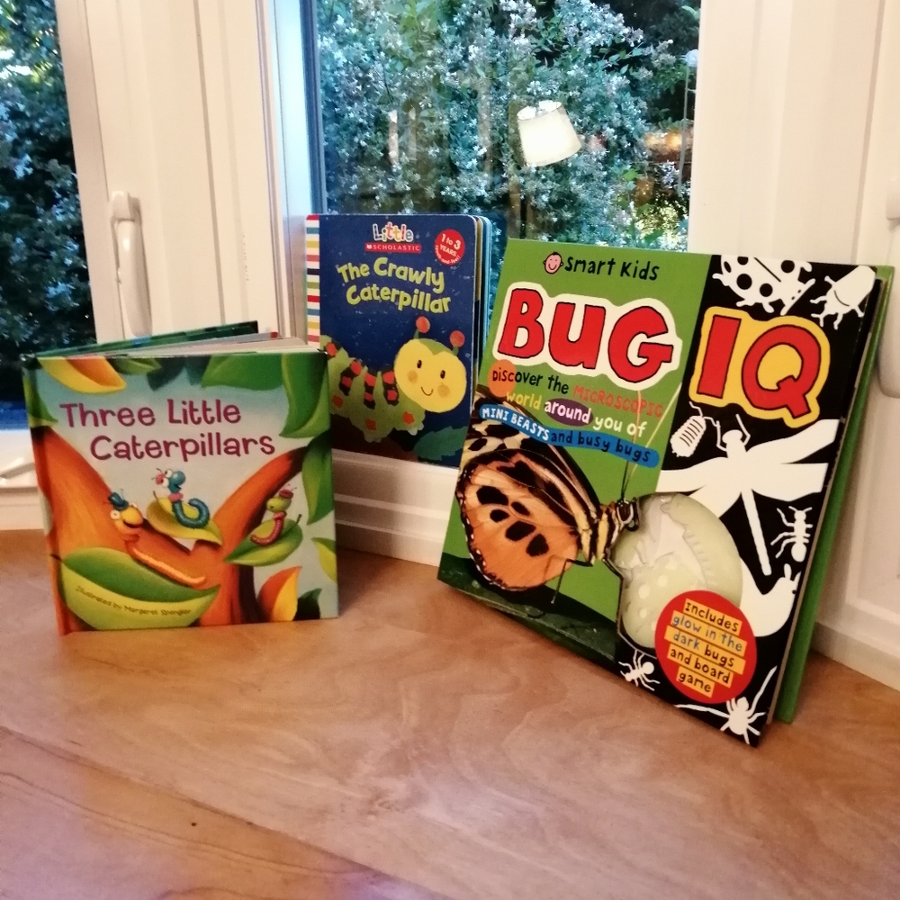 Activity Nature Books, Set of Three